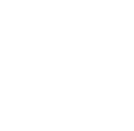 Parade Autosur Classic