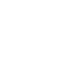 Plateau F1 & Prototypes